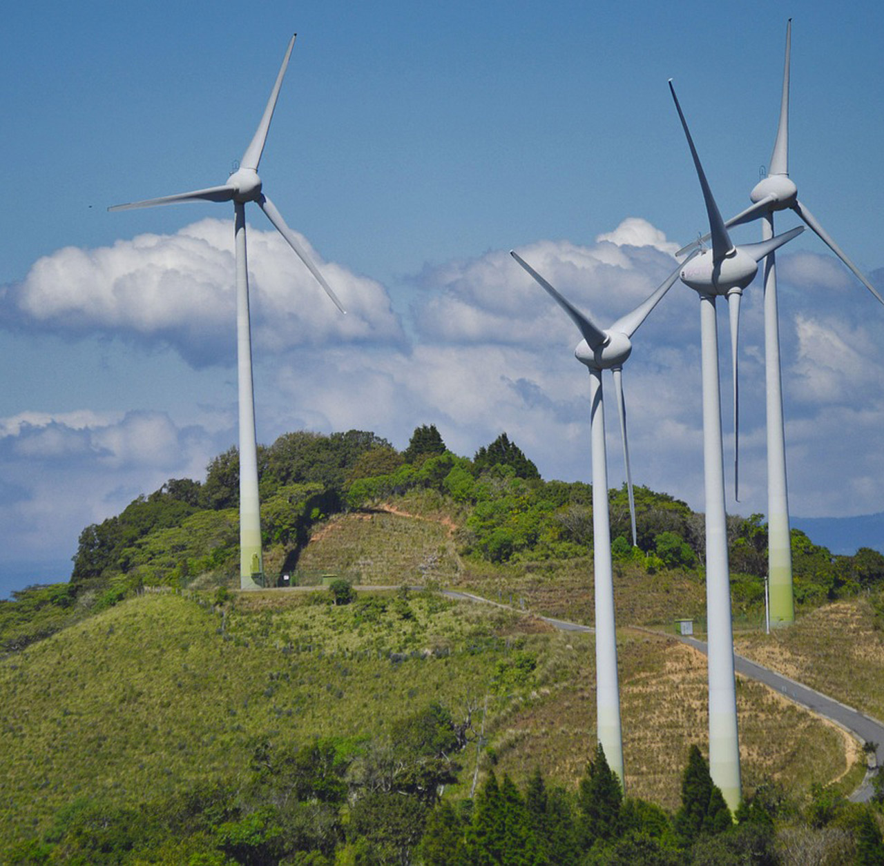 Global environmental network